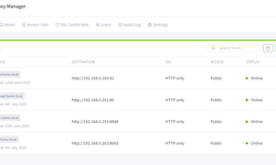 Nginx Proxy Manager：Docker环境下反向代理的绝佳选择
