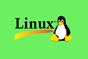 Linux 上使用 crontab 设置定时任务及运行 Python 代码不执行的解决方案